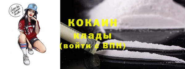 мяу мяу мука Няндома