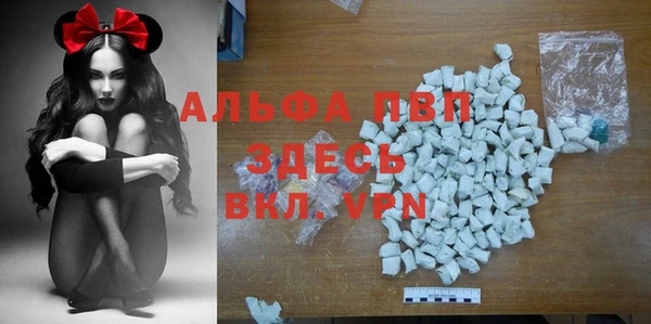 spice Новозыбков
